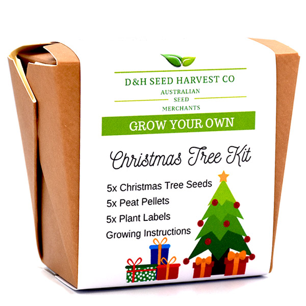 Grow Your Own Christmas Tree-Kit