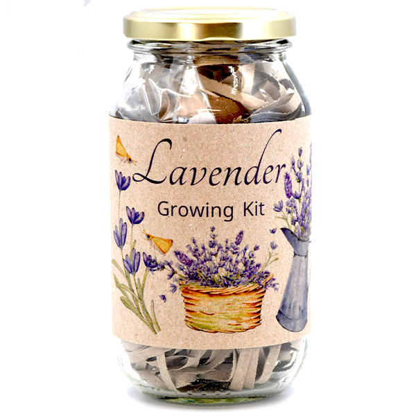 Tasmanian Lavender Growing Kit